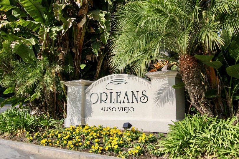 Orleans Aliso Viejo CA